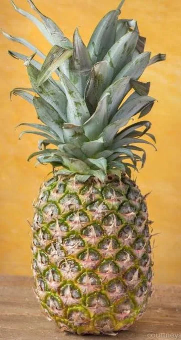 Pineapple Ginger