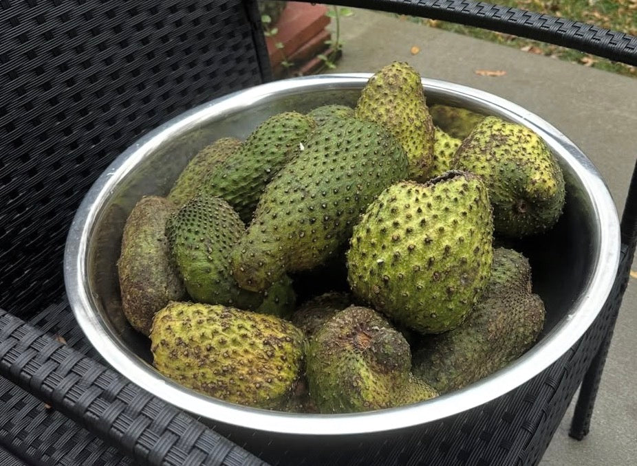 Soursop Lime